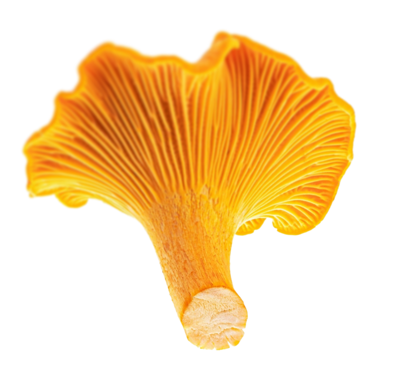 FUNCTIONAL ADAPTOGENS