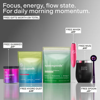 matcha dust - starter kit