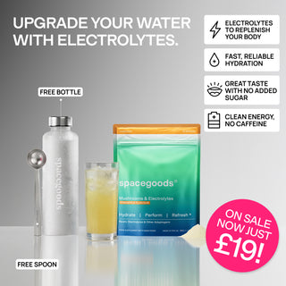 hydro dust starter kit