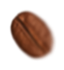 WILD NATURAL EXTRACTS