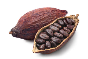 Raw Chocolate