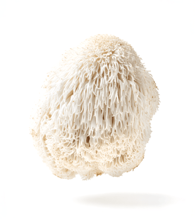 Lions Mane
