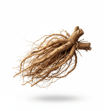 KSM-66® Ashwagandha